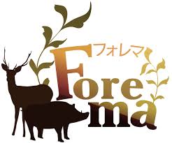 株式会社Forema
